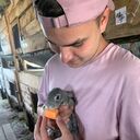 ���������� ������, ���� ������� ��������, 28 ���, ������������ ��� ������, ����� � ���������