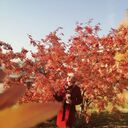 ���������� �����������, ���� ������� �����, 39 ���, ������������ ��� ����� � ���������, c�������� ���������