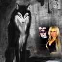 ���������� ������, ���� ������� Goga, 37 ���, ������������ ��� ������, ����� � ���������, c�������� ���������