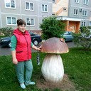  ,   , 32 ,  