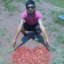  ,   777579930, 80 ,   ,   , c 