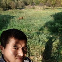 ���������� �������, ���� ������� �������, 37 ���, ������������ ��� ����� � ���������, c�������� ���������