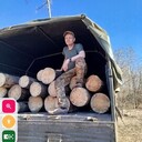 ���������� ������ �����, ���� ������� �����, 53 ����, ������������ ��� c�������� ���������, ���������