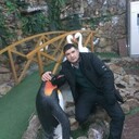 ���������� ������, ���� ������� �����, 29 ���, ������������ ��� ������, ����� � ���������