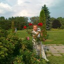  ,   , 41 ,   ,   , c 