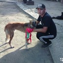 ���������� ��������, ���� ������� ������, 35 ���, ������������ ��� ������, ����� � ���������, c�������� ���������