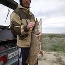 ���������� ������, ���� ������� �������, 47 ���, ������������ ��� ������, ����� � ���������, c�������� ���������, ���������