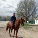 ���������� �����-���������, ���� ������� �����, 32 ����, ������������ ��� ������, ����� � ���������