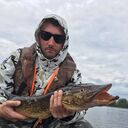 ���������� �����-���������, ���� ������� �����, 43 ����, ������������ ��� c�������� ���������