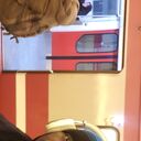 ���������� �����-���������, ���� ������� Moryc, 27 ���, ������������ ��� ������, ����� � ���������