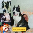 ���������� ������, ���� ������� ����, 38 ���, ������������ ��� ������, ����� � ���������, c�������� ���������