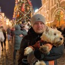 ���������� ������, ���� ������� ����, 38 ���, ������������ ��� ������, ����� � ���������, c�������� ���������