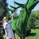  ,   , 60 ,   ,   
