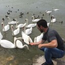  ,   Aurelius, 43 ,  