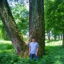 ���������� ������, ���� ������� ������, 31 ���, ������������ ��� ������, ����� � ���������, c�������� ���������