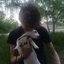 ���������� ������, ���� ������� �������, 29 ���, ������������ ��� ������, ����� � ���������, ���������