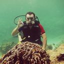 ���������� �����, ���� ������� ������, 38 ���, ������������ ��� ������