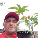 ���������� �����������, ���� ������� �������, 51 ���, ������������ ��� ����� � ���������, c�������� ���������