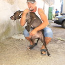 ���������� �����������, ���� ������� ������, 48 ���, ������������ ��� ������, ����� � ���������, c�������� ���������