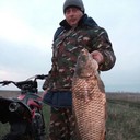 ���������� ������-��-����, ���� ������� �������, 42 ����, ������������ ��� ������, ����� � ���������, c�������� ���������