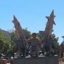 ���������� �����������, ���� ����� ����, 24 ����, ������������ ��� ������, ����� � ���������