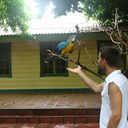 ���������� ���������, ���� ������� C��y��p, 44 ����, ������������ 