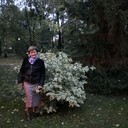  ,   , 62 ,   ,   