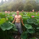 ���������� ���������, ���� ������� ���������, 38 ���, ������������ ��� ����� � ���������, c�������� ���������