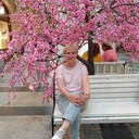 ���������� �����, ���� ������� �������, 64 ����, ������������ ��� c�������� ���������