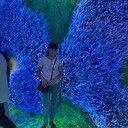 ���������� ������, ���� ������� �����, 84 ����, ������������ ��� ������, ����� � ���������