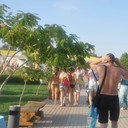 ���������� �������, ���� ������� ����, 38 ���, ������������ ��� ������, ����� � ���������, c�������� ���������