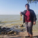  ,   , 38 ,   ,   