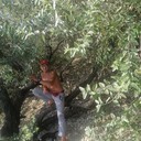 ���������� �����-���������, ���� ������� ������, 35 ���, ������������ ��� ������, ����� � ���������