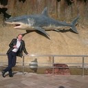 ���������� �������, ���� ������� ���������, 38 ���, ������������ ��� ������, ����� � ���������, c�������� ���������