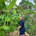 ���������� ������ ��������, ���� ������� ������, 38 ���, ������������ ��� ����� � ���������, c�������� ���������, ���������