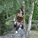 ,   , 43 ,  