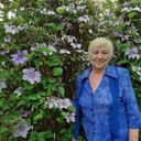  ,   , 65 ,     
