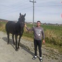 ���������� ����-���������, ���� ������� �����, 29 ���, ������������ ��� ������, ����� � ���������