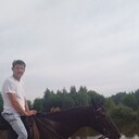 ���������� �����-���������, ���� ������� Alexander, 54 ����, ������������ ��� ������, ����� � ���������