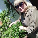 ���������� ���������, ���� ������� ����, 45 ���, ������������ ��� ������, ����� � ���������, c�������� ���������