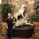 ���������� ������, ���� ������� �����, 61 ���, ������������ ��� c�������� ���������