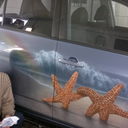 ���������� ������, ���� ������� �������, 54 ����, ������������ ��� ������, ����� � ���������, c�������� ���������