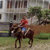  ,   Benji, 81 ,   ,   , c 
