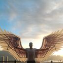 ���������� ����, ���� ������� �������, 42 ����, ������������ ��� ������, ����� � ���������