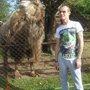  --,   , 43 ,   