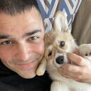 ���������� �����������, ���� ������� �����, 34 ����, ������������ ��� ������, ����� � ���������, c�������� ���������, ���������