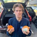 ���������� ������, ���� ����� �����, 20 ���, ������������ ��� ������, ����� � ���������