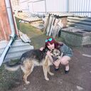 ���������� �������, ���� ������� �����, 31 ���, ������������ ��� ���������