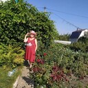   ,   , 58 ,   ,   