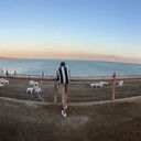 ���������� Frankfurt am Main, ���� ����� ����, 24 ����, ������������ ��� ������, ����� � ���������